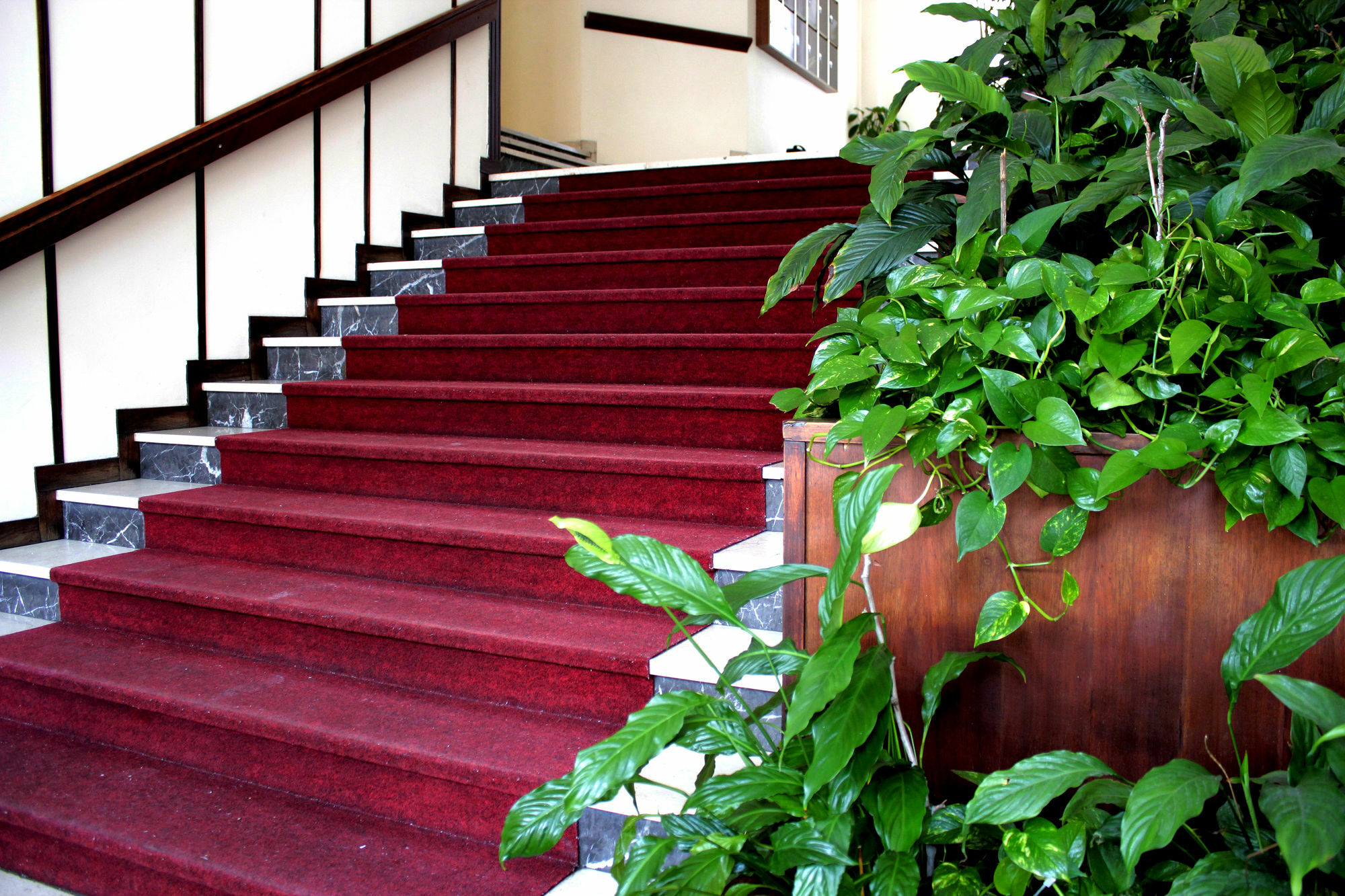 Casa Camilla City Padova Dış mekan fotoğraf